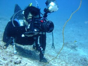 L字アーチ　伊良部島　フォト