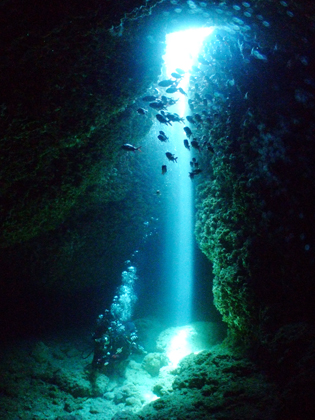 10・11月のおススメ、マリンレイク