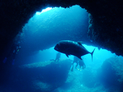 伊良部島、Ｌ字アーチ、ロウニンアジ