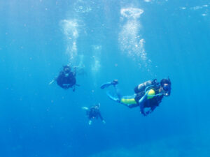 下地島、水中の様子