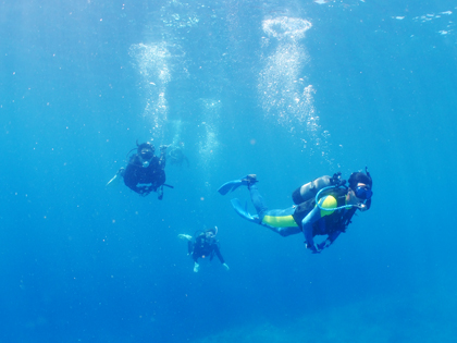 下地島、水中の様子