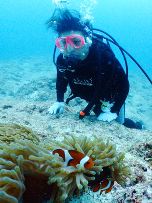 下地島、中の島チャネル、カクレクマノミ