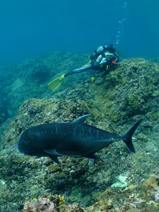 下地島、ドロップNO.1