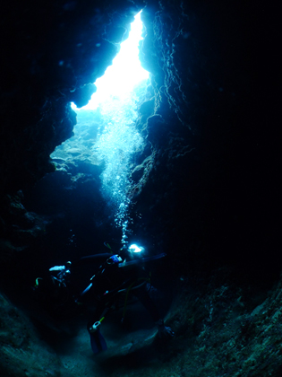 ムーンライトホール