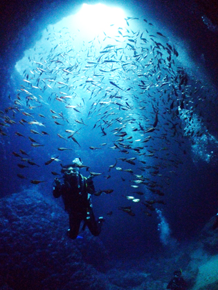 下地島、マリンレイクのハタンポ