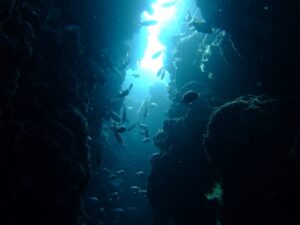 クロスホール　伊良部島