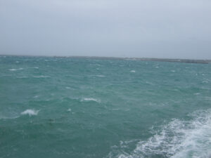 時化た海