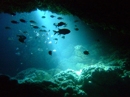 マリンレイク　地形　光