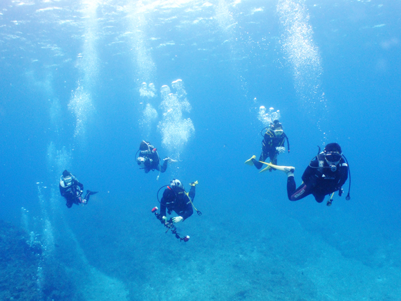 blue water ダイビング