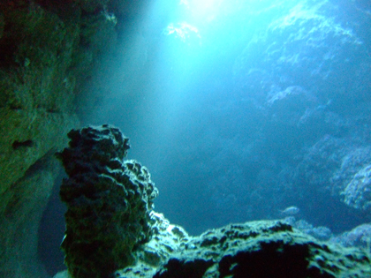 なるほどザケーブ　地形　ダイビング