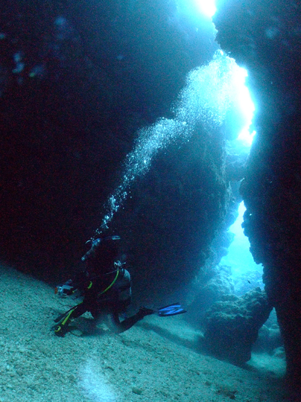 中の島チャネル