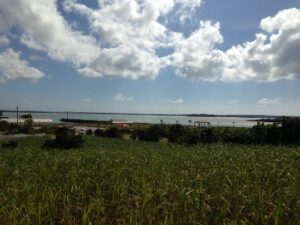 宮古島　ダイビング