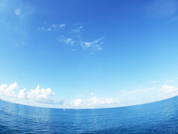 宮古ブルー
