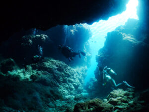 中の島チャネル