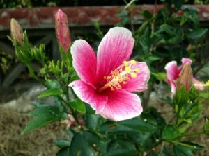 沖縄県　宮古島