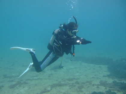 ナビゲーション