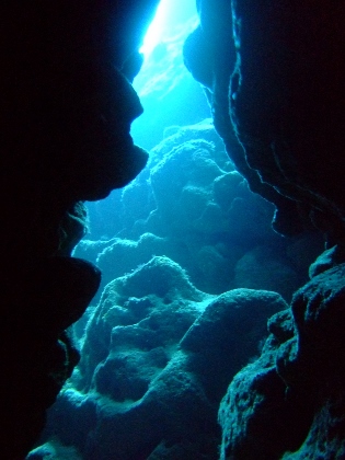 地形　南岸　ダイビング