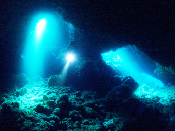 牛さんこわいよ