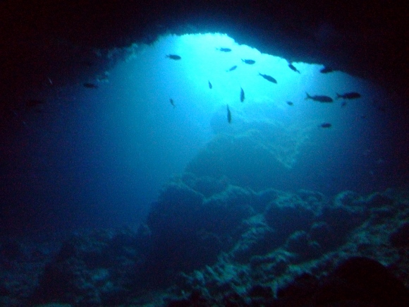 ３５ホール　ダイビング