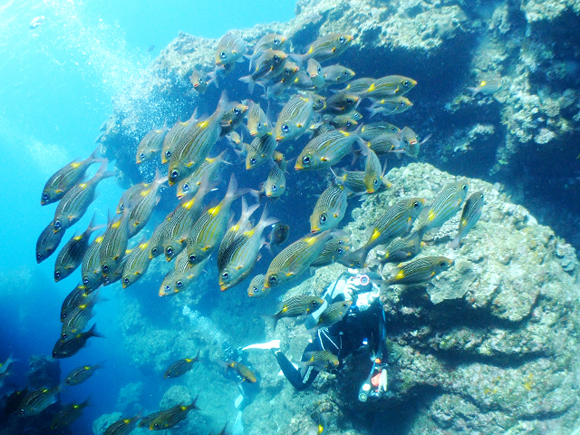 伊良部島ダブルアーチ
