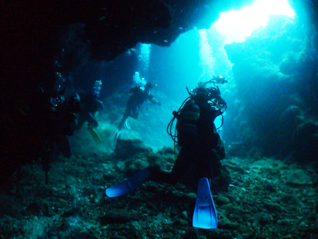 中の島チャネル