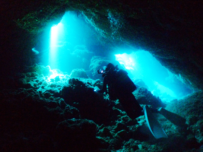 牛さんこわいよ