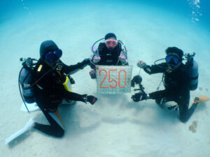 Fちゃん250ダイブ