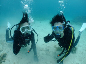 ビーチ体験ダイビング