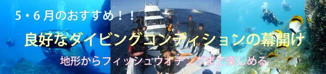 5・6月の宮古島ダイビングの見所
