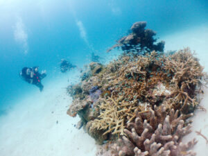 サンドガーデン