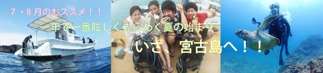 7・8月の宮古島ダイビングのおすすめ