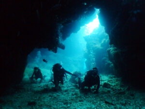 中の島チャネル