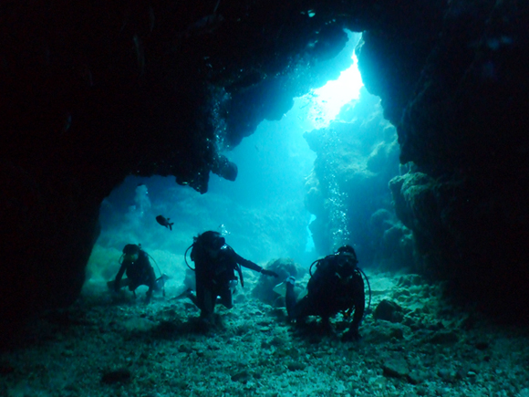 中の島チャネル