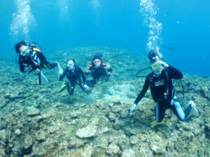 今日の宮古島ダイビング