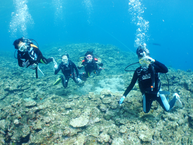 今日の宮古島ダイビング