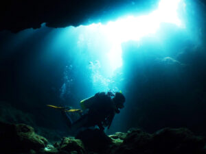 中の島チャネル