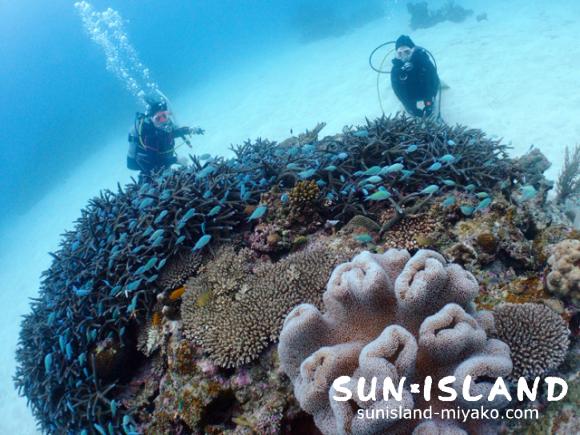 サンドガーデン