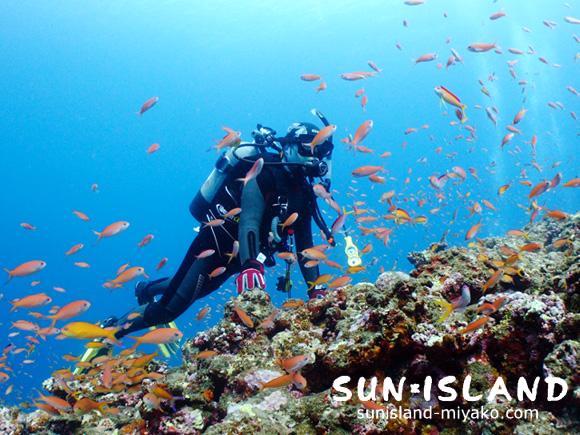Tさんの海の様子