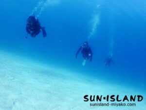 栗栖多パークで泳ぐ今日のゲスト