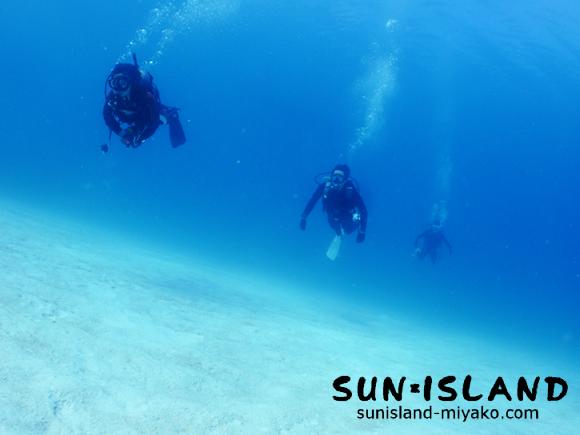 栗栖多パークで泳ぐ今日のゲスト