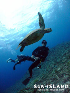 かめと一緒に泳ぐダイバー