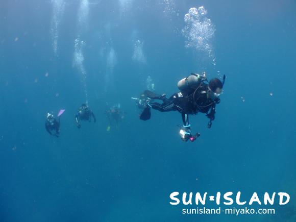 中層を泳ぐダイバー