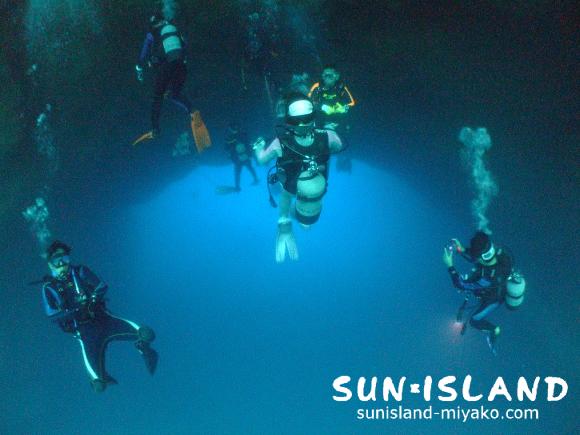 通り池に潜るダイバー