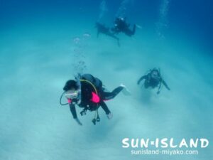 砂地の上を泳ぐゲストダイバー