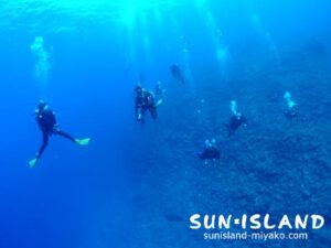 青い海を泳ぐゲストダイバー