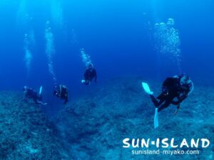 今日のゲストダイバー