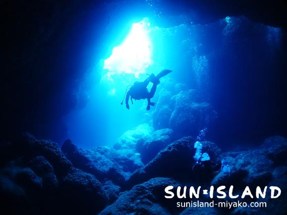 牛さんこわいよ