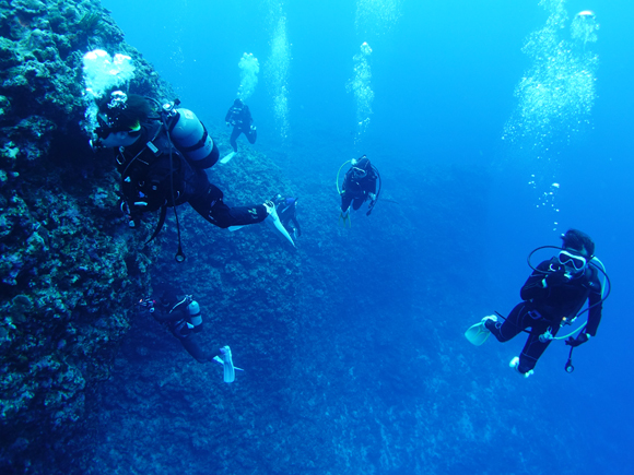 今日のゲストダイバーたち