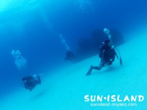 今日のゲストさん