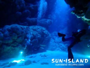 ロブスターホール